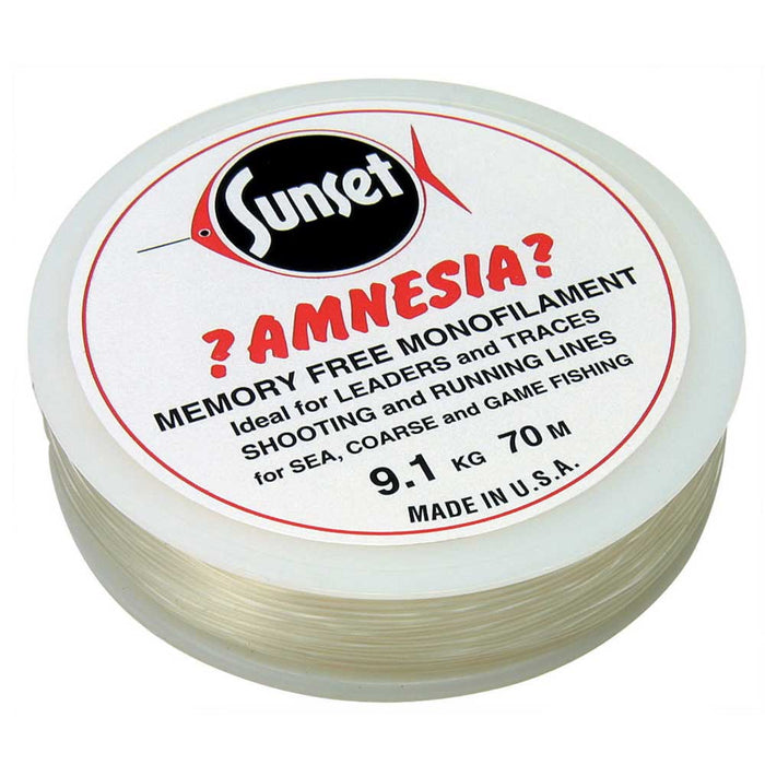 Amnesia | Clear