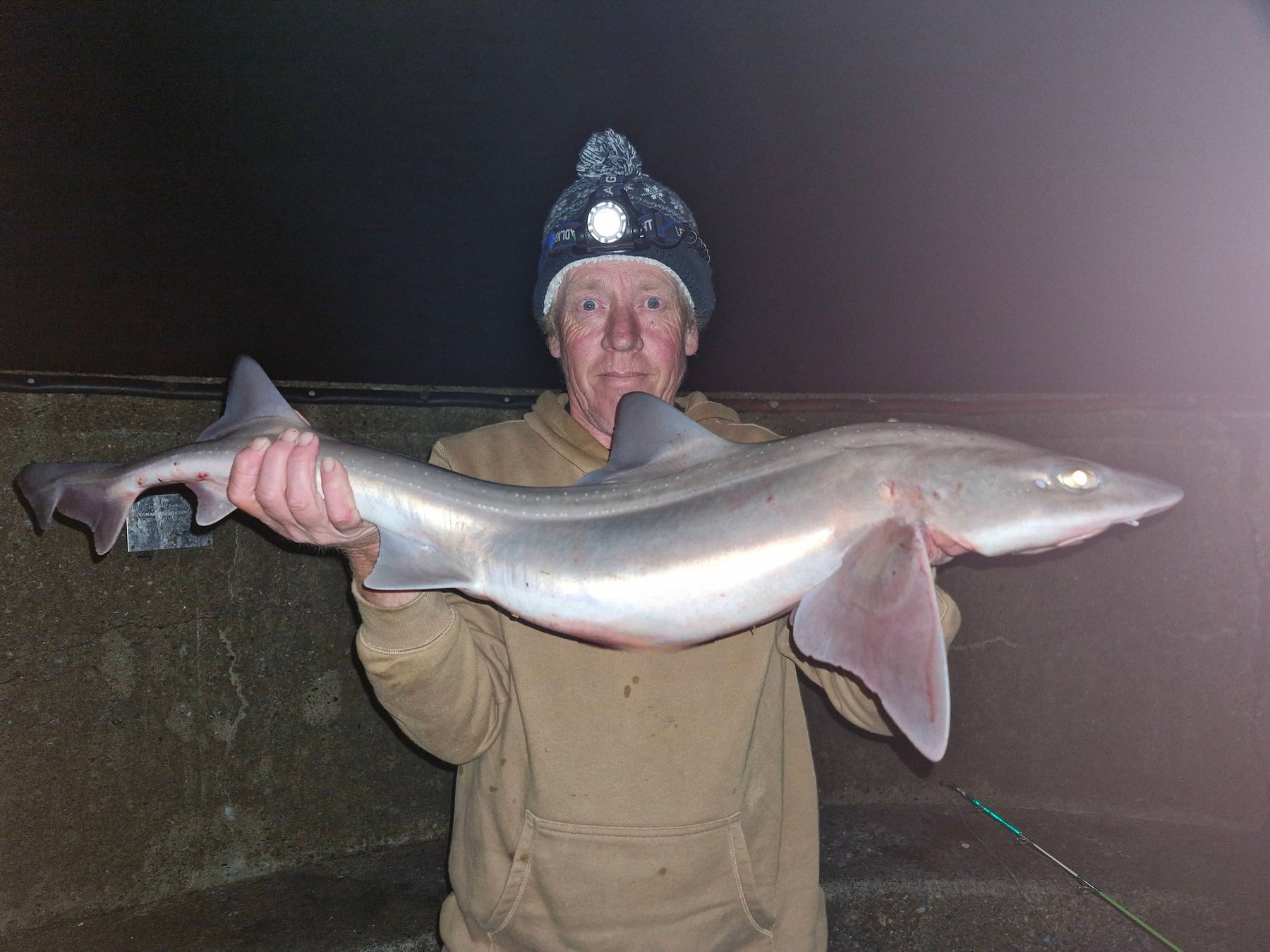 West Sussex Catch Report - 31st May 2026