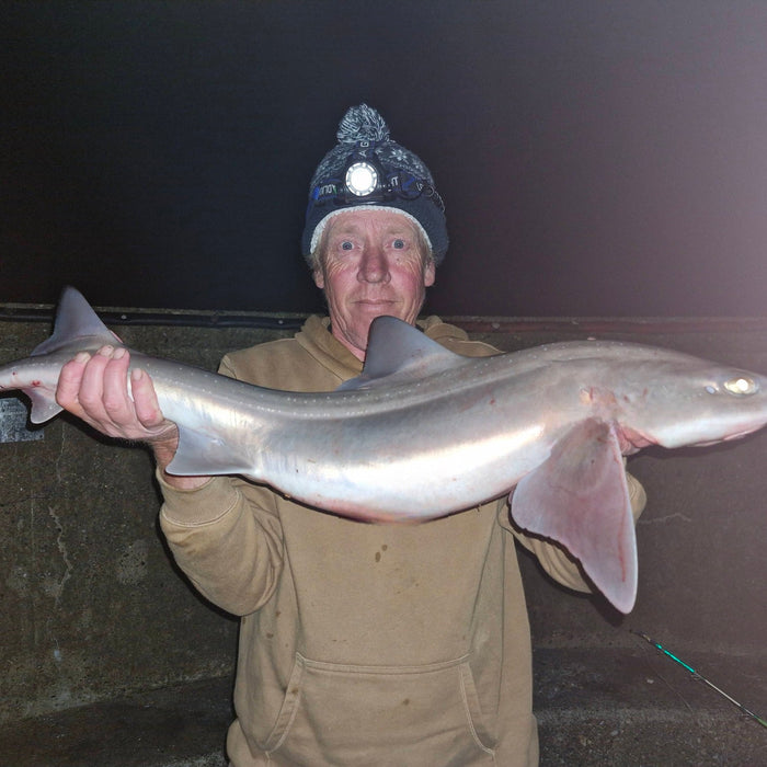 West Sussex Catch Report - 31st May 2026