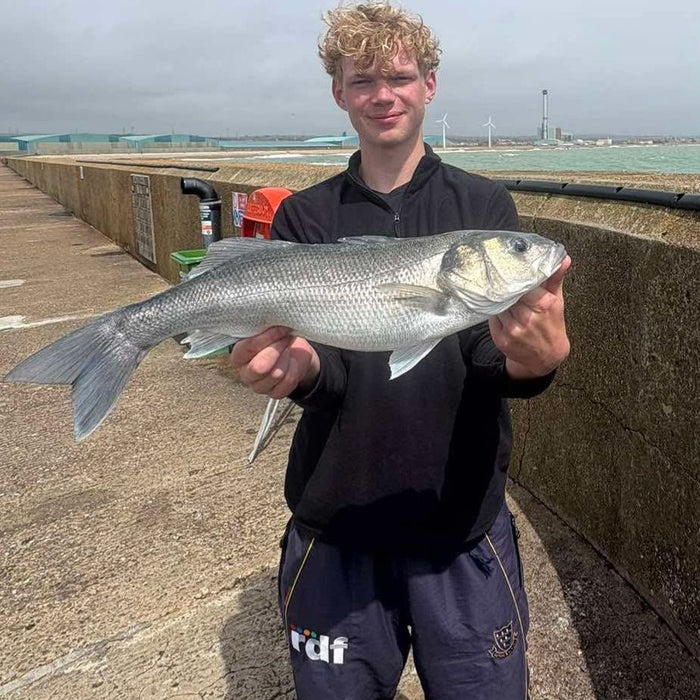 West Sussex Catch Report - 24th May 2026