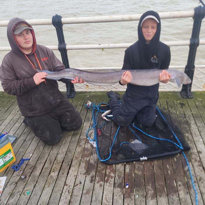 West Sussex Catch Report - 8th December 2024