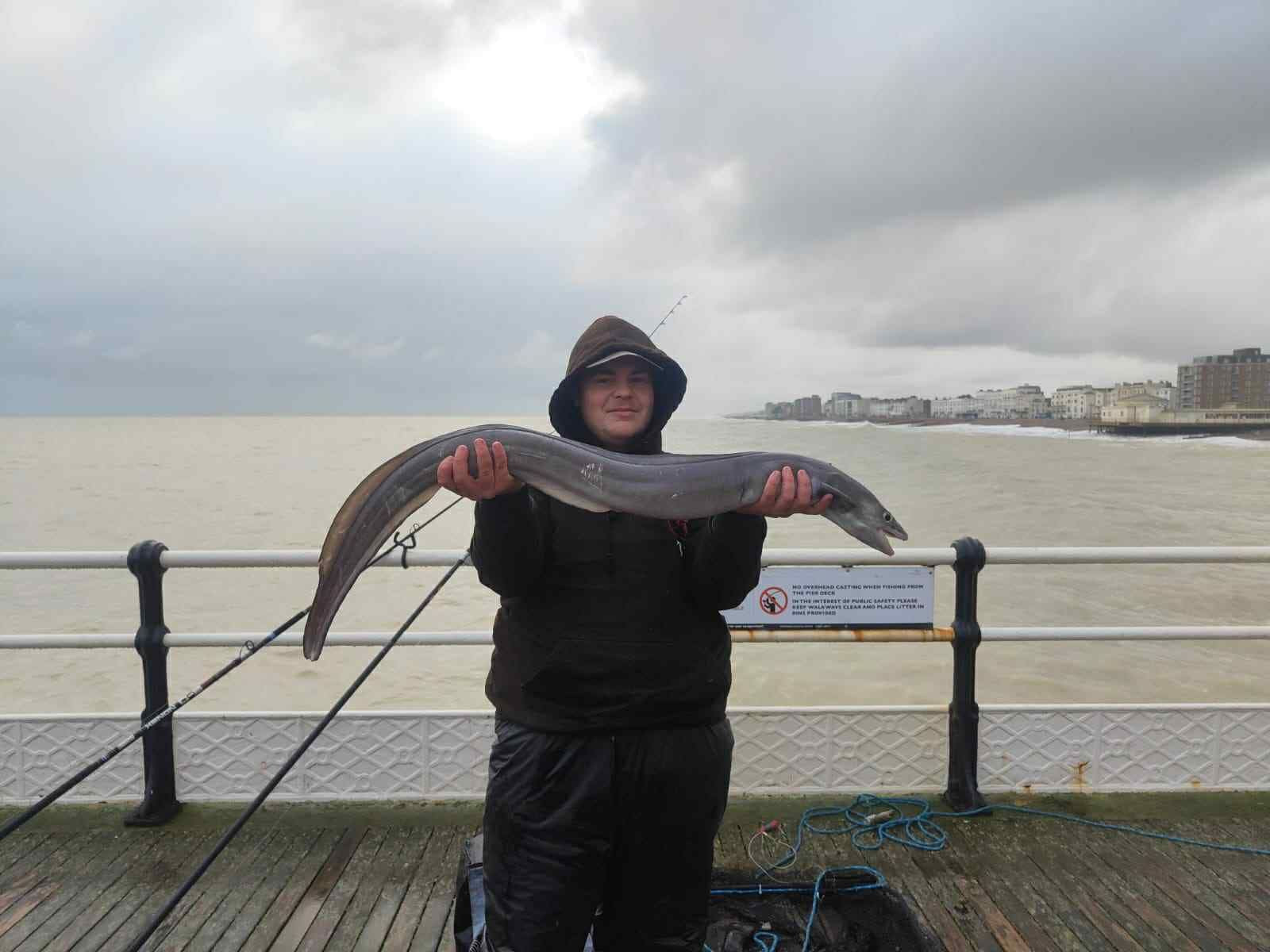 West Sussex Catch Report - 25th January 2026