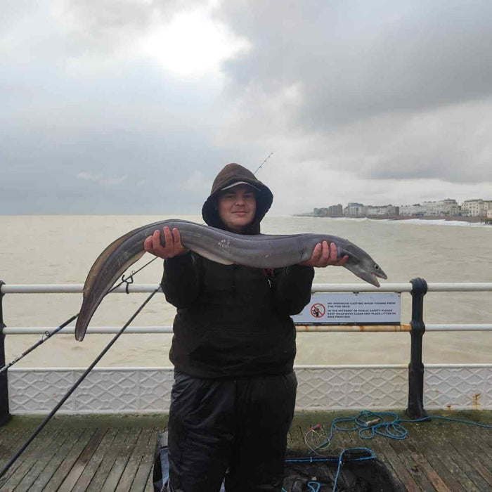 West Sussex Catch Report - 25th January 2026