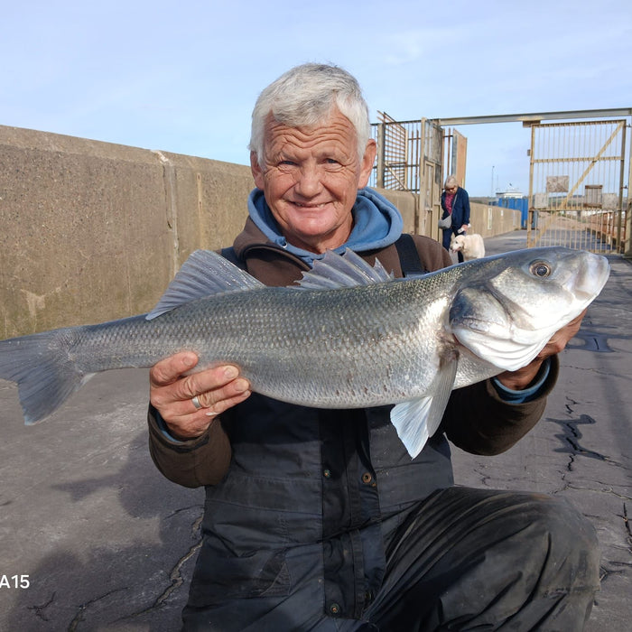 West Sussex Catch Report - 20th October 2024