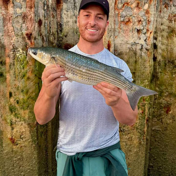 West Sussex Catch Report - 12th July 2026