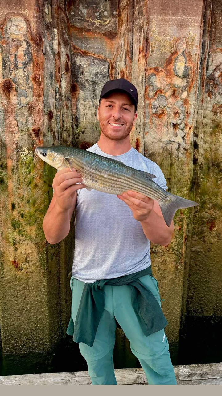 West Sussex Catch Report - 12th July 2026
