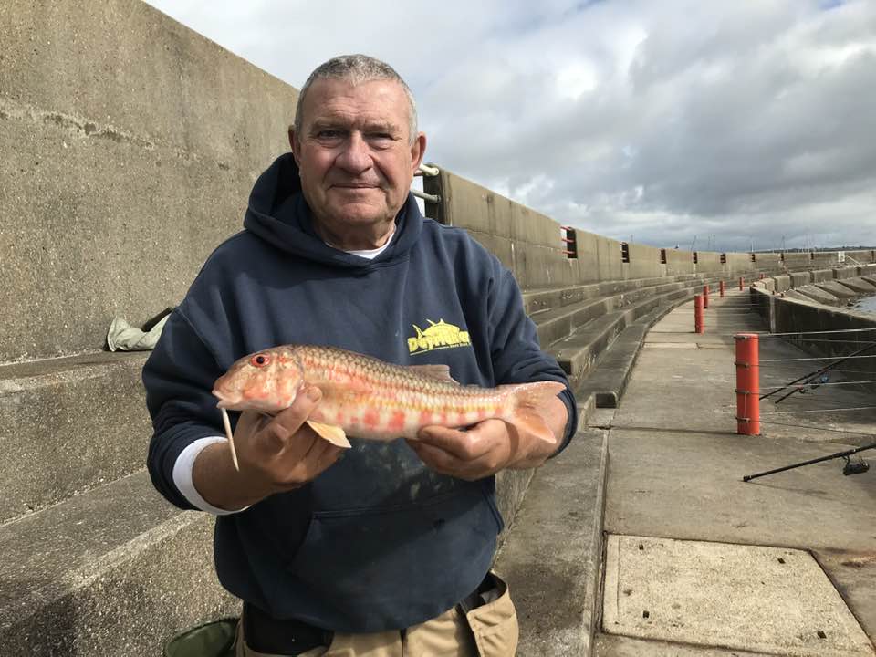 West Sussex Fishing Report - 12th October 2025