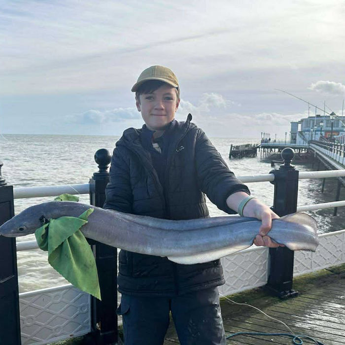 West Sussex Catch Report - 23rd November 2025
