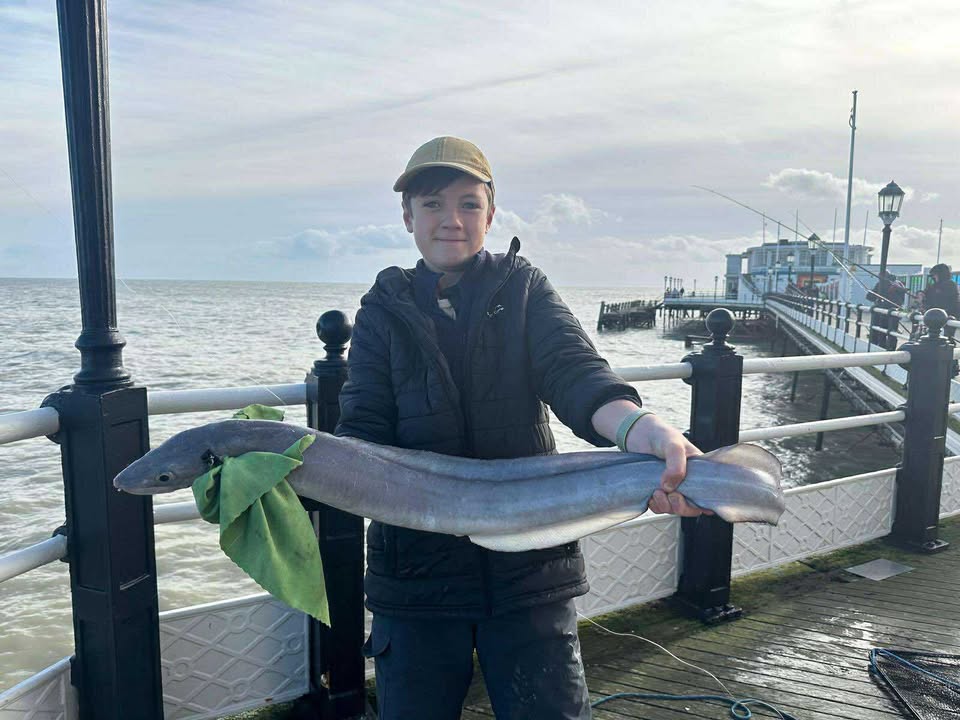 West Sussex Catch Report - 23rd November 2025