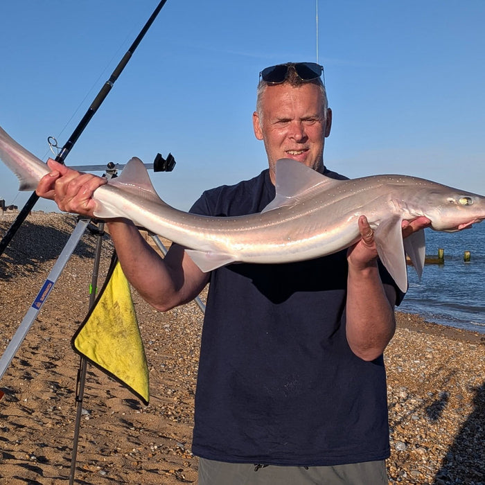 West Sussex Catch Report - 26th April 2026