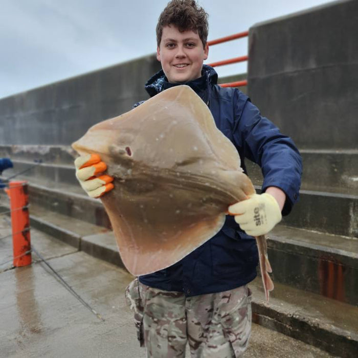 West Sussex Catch Report - 2nd November 2025