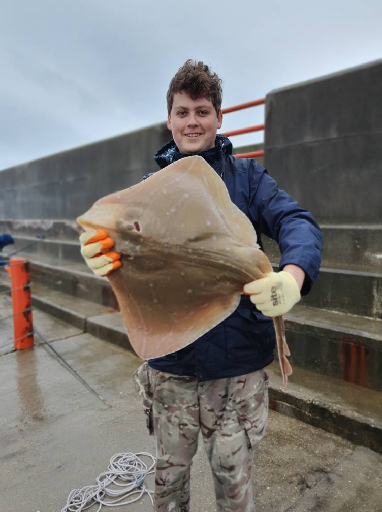 West Sussex Catch Report - 2nd November 2025