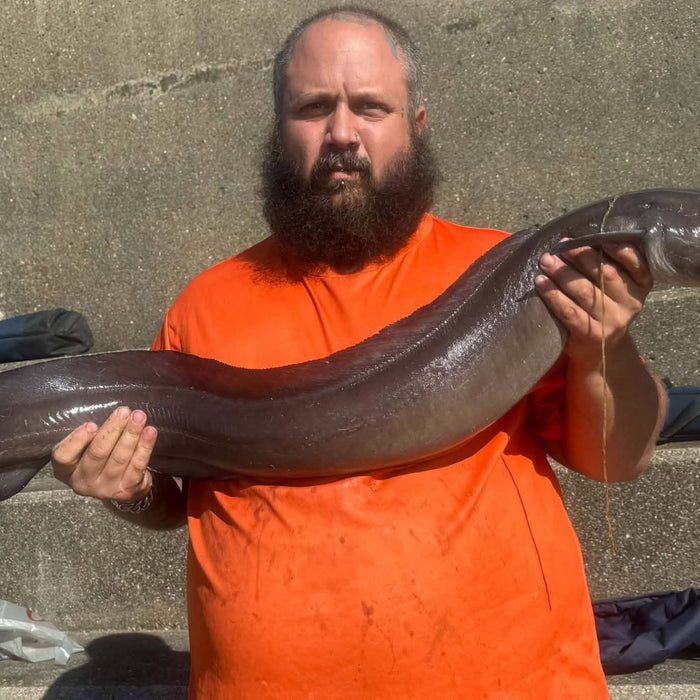 West Sussex Catch Report - 6th September 2026