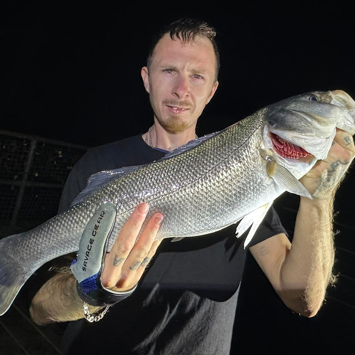 West Sussex Fishing Report - 31st August 2025