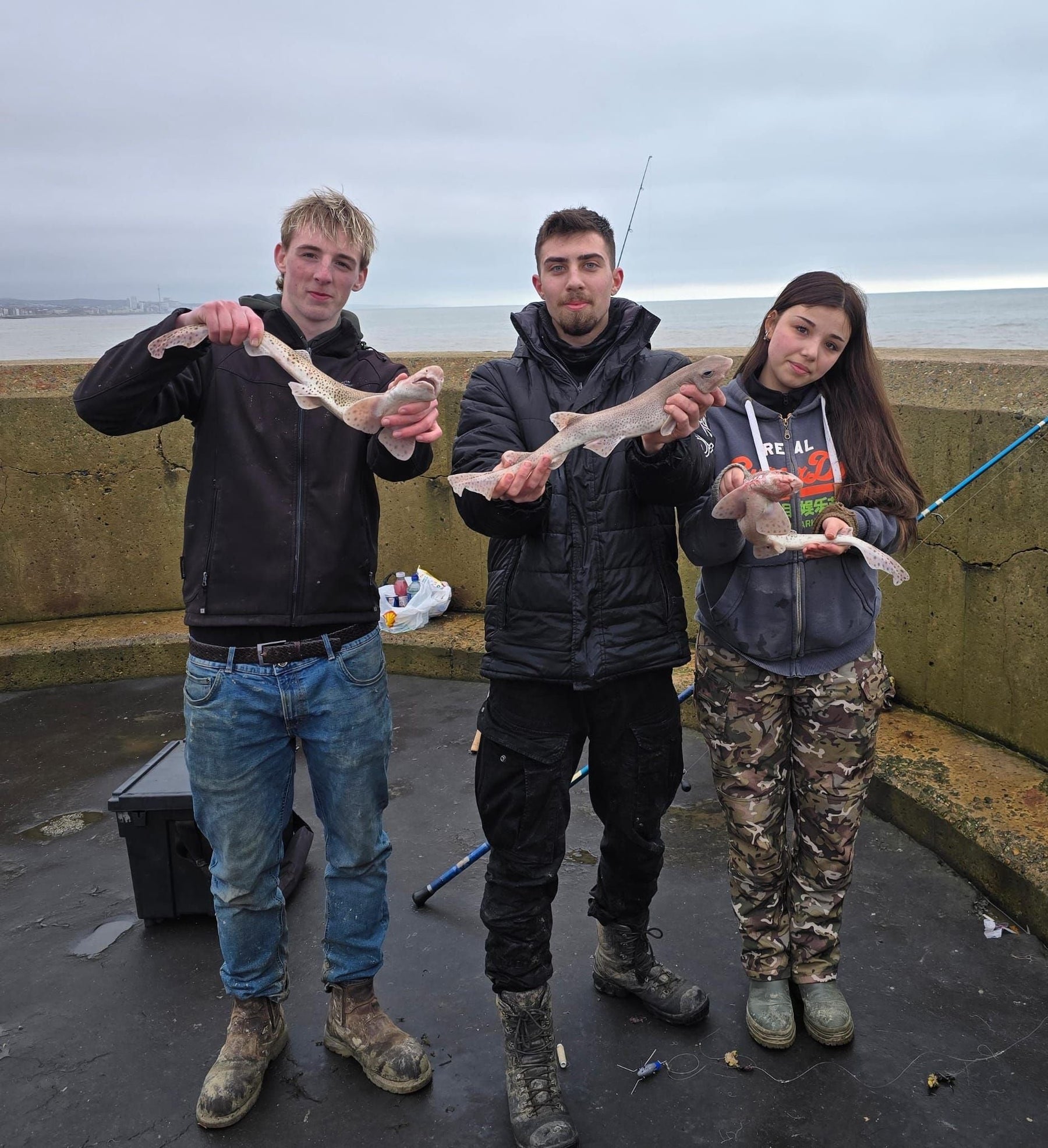 West Sussex Catch Report - 8th February 2026