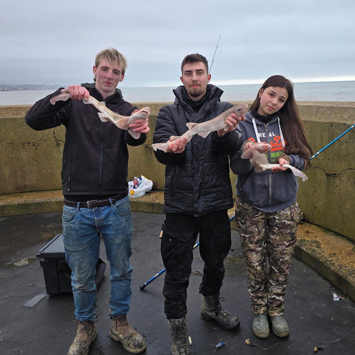 West Sussex Catch Report - 8th February 2026