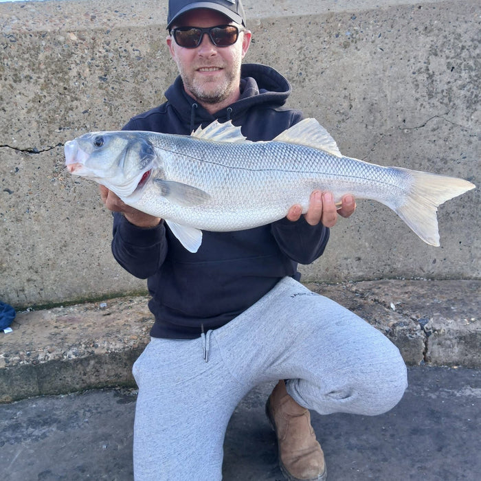 West Sussex Catch Report - 20th September 2026
