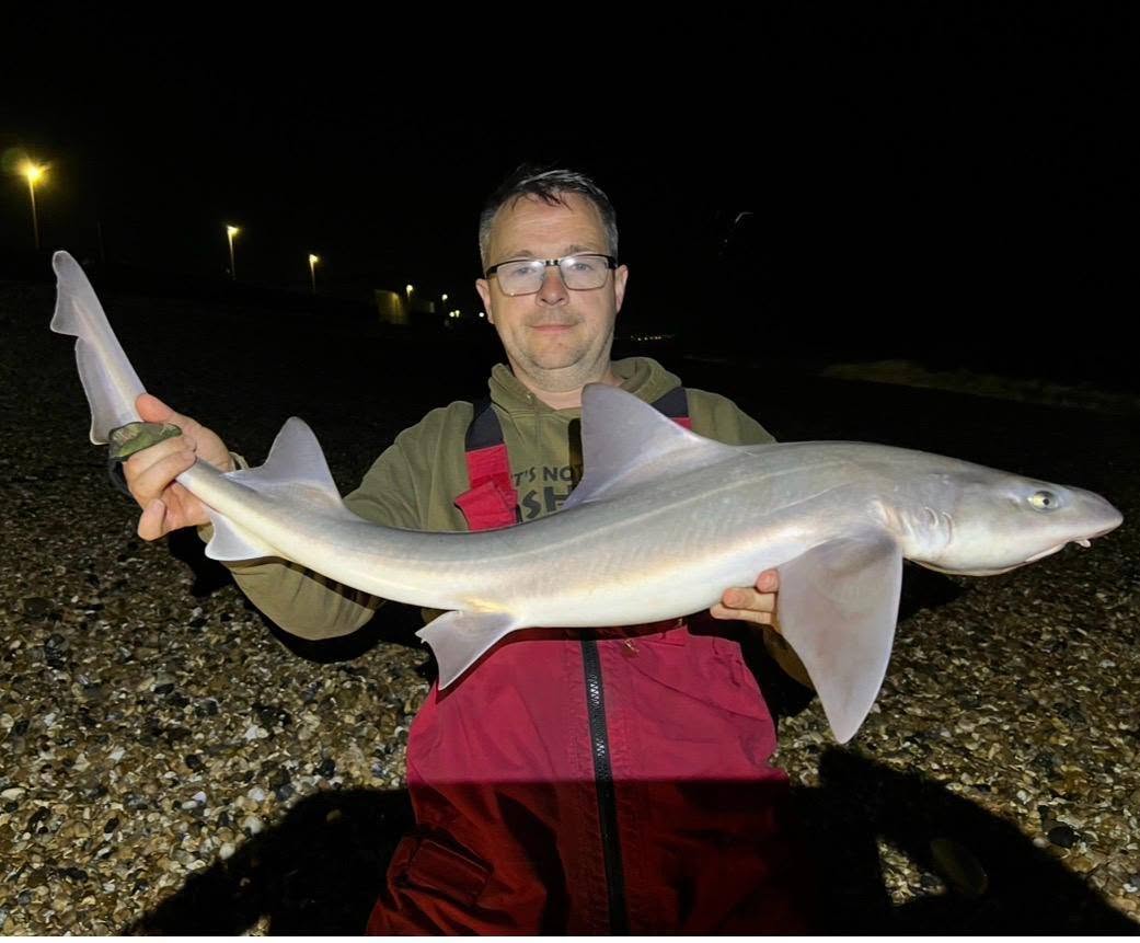 West Sussex Catch Report - 14th June 2026