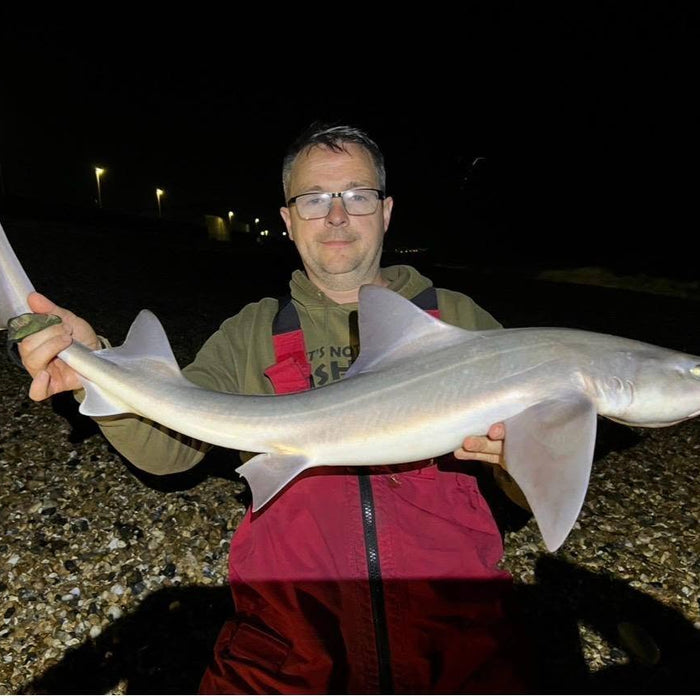 West Sussex Catch Report - 14th June 2026