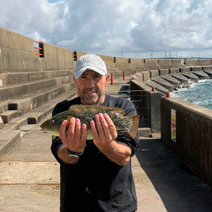 West Sussex Catch Report - 30th August 2026