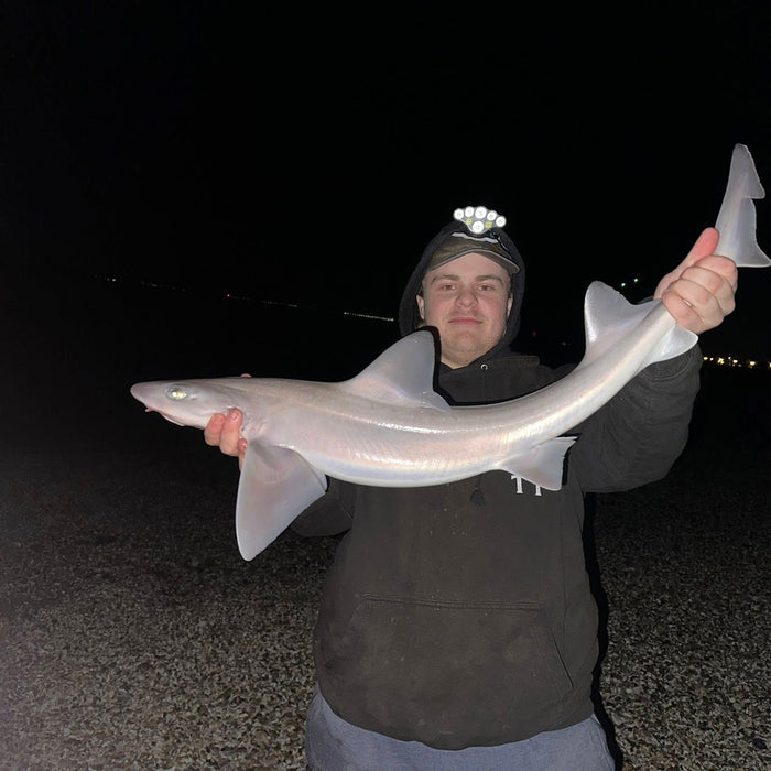 West Sussex Catch Report - 12th April 2026
