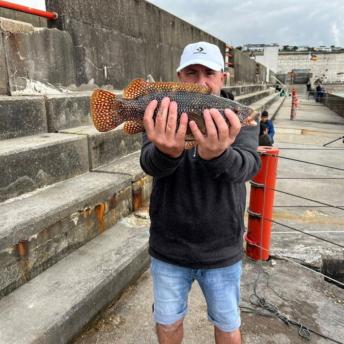 West Sussex Fishing Report - 28th September 2025