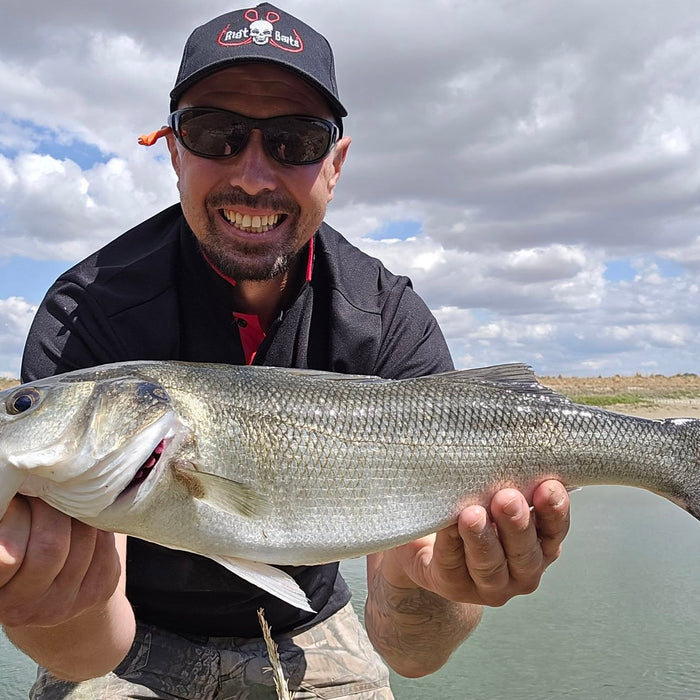 West Sussex Catch Report - 9th August 2026