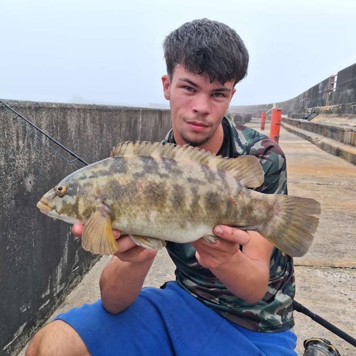 West Sussex Catch Report - 21st June 2026
