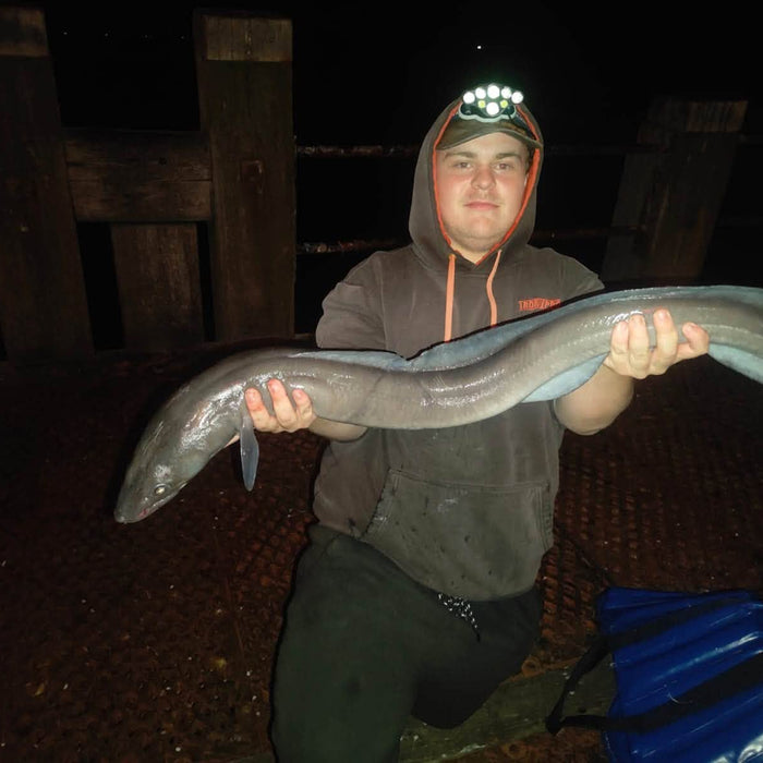 West Sussex Catch Report - 19th July 2026
