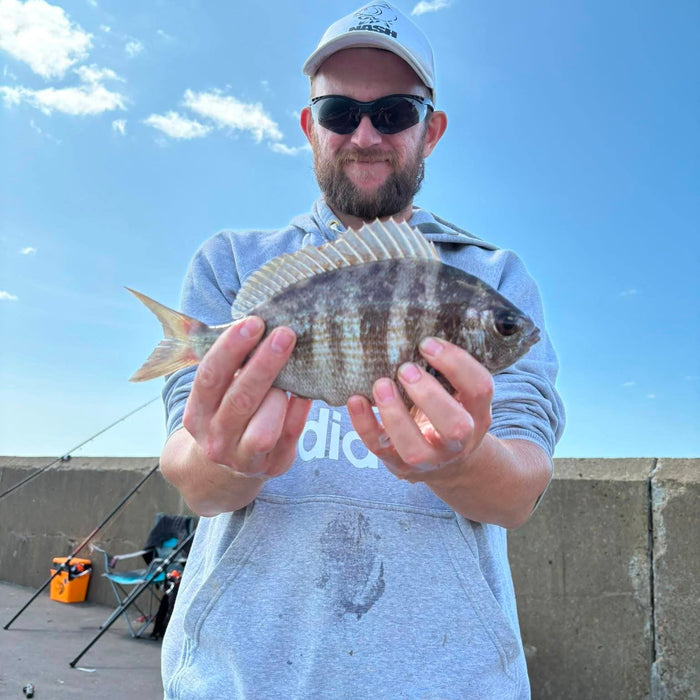 West Sussex Catch Report - 23rd August 2026