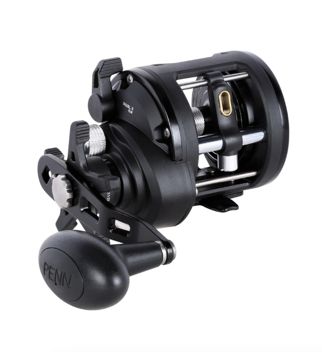 Penn Rival Boat Reel
